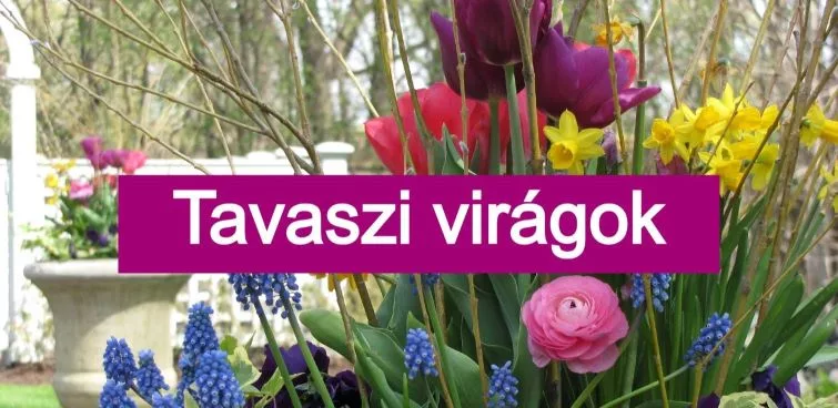 tavasz a kertészetben