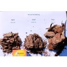 80 l Borovi vörös fenyőkéreg NAGY