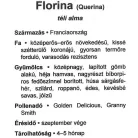 Florina alma konténeres gyümölcsfa konténeres