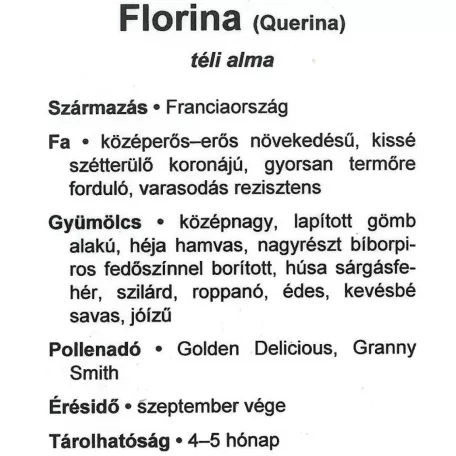 Florina alma konténeres gyümölcsfa konténeres