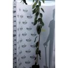 Kavics cseresznye konténeres