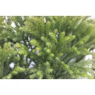 Törpe gömb japánciprus CRYPTOMERIA JAPONICA GLOBOSA NANA CLT. 5