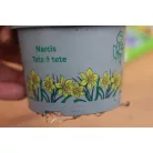 Nárcisz Narcissus Cyclamineus 'Tete a tete'
