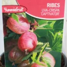Piros egres Ribes u.-c. 'Capivator'