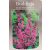 Illatos nyáriorgona Buddleja d. 'Border Beauty'