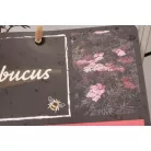 Bordó szeldelt levelű bodza Sambucus nigra 'Black Lace'