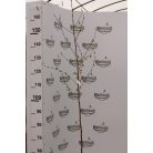 Nyírfa Betula pendula K2 100-125cm