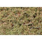 Talajtakaró madárbirs Cotoneaster procumbens 'Queen of Carpet' K 1, 5 lit