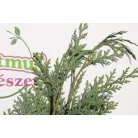 Oszlopos, kék oregoni hamisciprus Chamaecyparis lawsoniana 'Columnaris' FL 100-125 cm