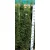 Oszlopos zöld tiszafa Taxus media 'Green Rocket' FL 150 cm