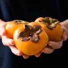 Datolyaszilva Diospyros kaki 'Sharon'