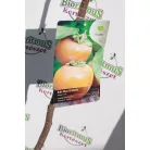Datolyaszilva Diospyros kaki Rojo Brillante