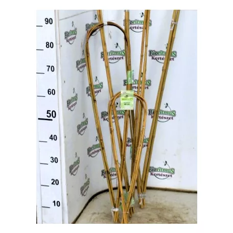 Nortene bamboo bambusz karó ívelt (3) 0,9 m