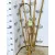 Nortene bamboo bambusz karó ívelt (3) 0,9 m