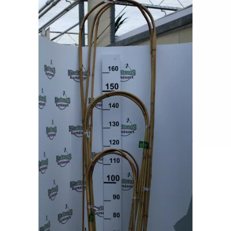 Nortene Bamboo bambusz ív 1,2 m 3 db