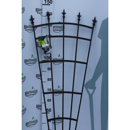 Nortene Royal Trellis 0.61 x 1.5 m 