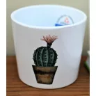Virágkaspó 8 cm-es Cactus Garden agyagkaspó 9cm
