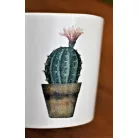 Virágkaspó 8 cm-es Cactus Garden agyagkaspó 9cm