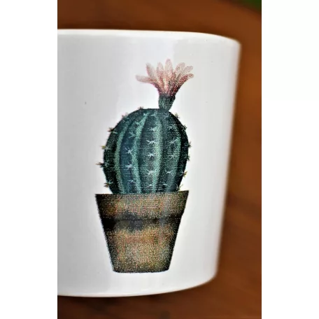 Virágkaspó 8 cm-es Cactus Garden agyagkaspó 9cm