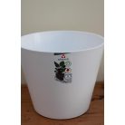 30 cm-es Purista Bianco