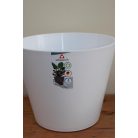 30 cm-es Purista Bianco