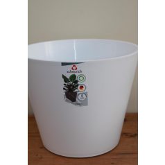 30 cm-es Purista Bianco