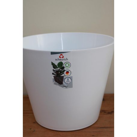 30 cm-es Purista Bianco