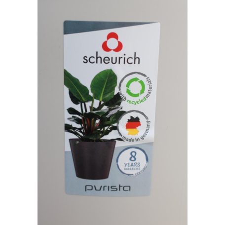 40 cm-es Purista Avorio