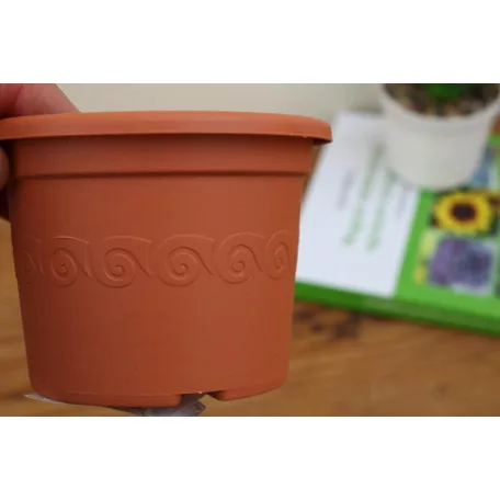 8 cm-es Cserép terracotta