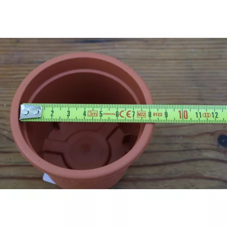 8 cm-es Cserép terracotta