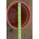 10 cm-es VIRÁGCSERÉP PLASTICA - DP11-R624