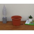 15 cm-es VIRÁGCSERÉP 17 PLASTICA - TERRAKOTTA