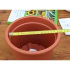 15 cm-es VIRÁGCSERÉP 17 PLASTICA - TERRAKOTTA