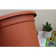 24 cm-es VIRÁGCSERÉP - TERRAKOTTA
