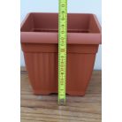 13 cm-es Szögletes cserép terracotta