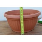 18 cm-es terracotta