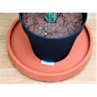 33 cm-es MOBIL VIRÁGCSERÉP ALÁTÉT PEREMES KEREK 370 -TERRAKOTTA
