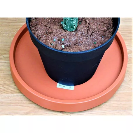 33 cm-es MOBIL VIRÁGCSERÉP ALÁTÉT PEREMES KEREK 370 -TERRAKOTTA