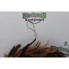 Koszorú toll 30cm multi