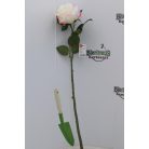 Selyemvirág rózsa szálas 64 cm krém