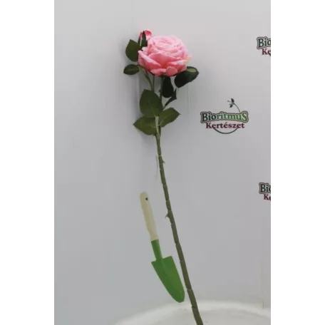Selyemvirág rózsa szálas 64 cm rózsaszín