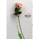 Selyemvirág kerti rózsa szálas 67 cm rózsaszín