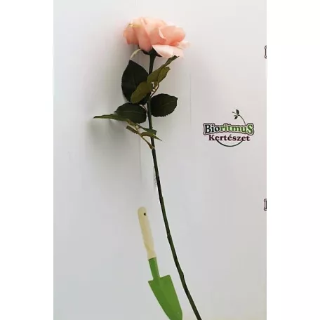 Selyemvirág kerti rózsa szálas 67 cm rózsaszín