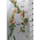 Selyemvirág girland peoniával 150cm zöld. rózsaszín