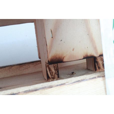 Madáretető 1010 önetetővel