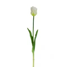 Selyemvirág papagáj tulipán 42cm fehér