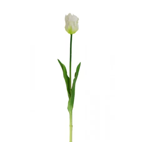 Selyemvirág papagáj tulipán 42cm fehér