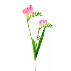 Selyemvirág frézia 61cm rózsaszín