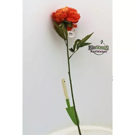 Selyemvirág Peonia narancs