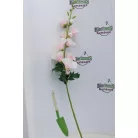 Selyemvirág Mályva 75cm rózsaszín